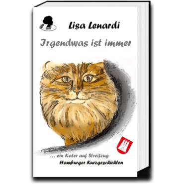 Cover SDE_Irgendwas