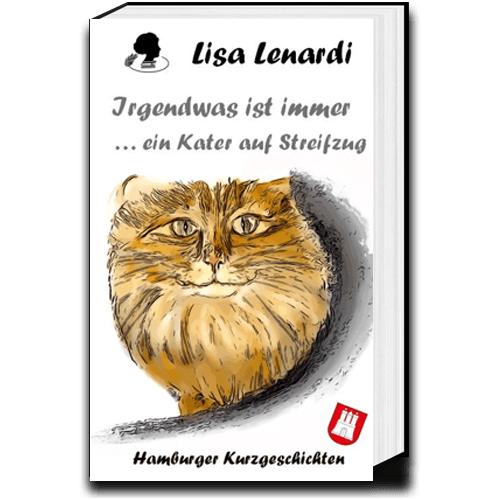 Cover SDE_Irgendwas2